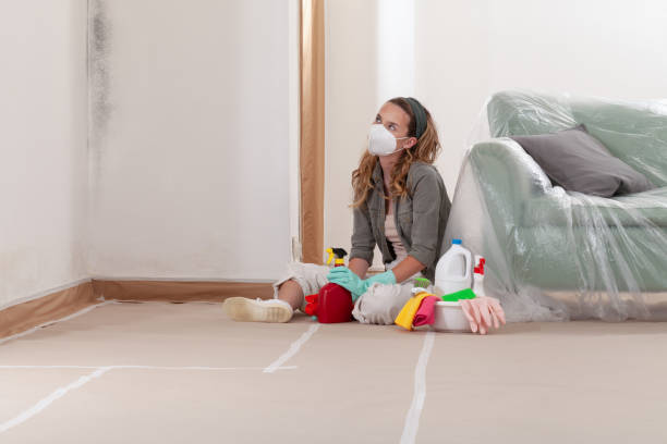 Reliable Mold Remediation contractor in Mount Airy, NC by Cheap Mold Removal